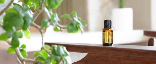 Un été sans moustiques grâce à l'huile essentielle de Citronnelle dōTERRA !