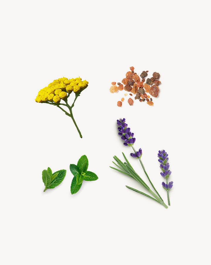 Crème solaire minérale SPF 30 pour le visage et le corps Sun dōTERRA | 150 ml