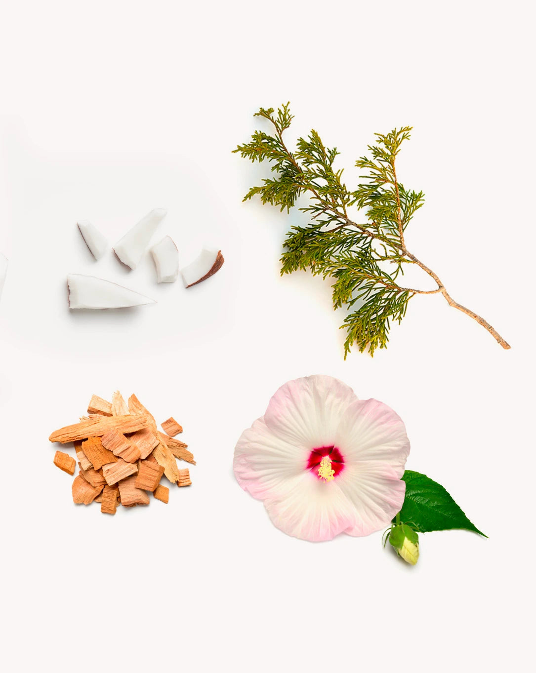 Yule Log mélange accueillant d’huiles essentielles dōTERRA | 15 ml