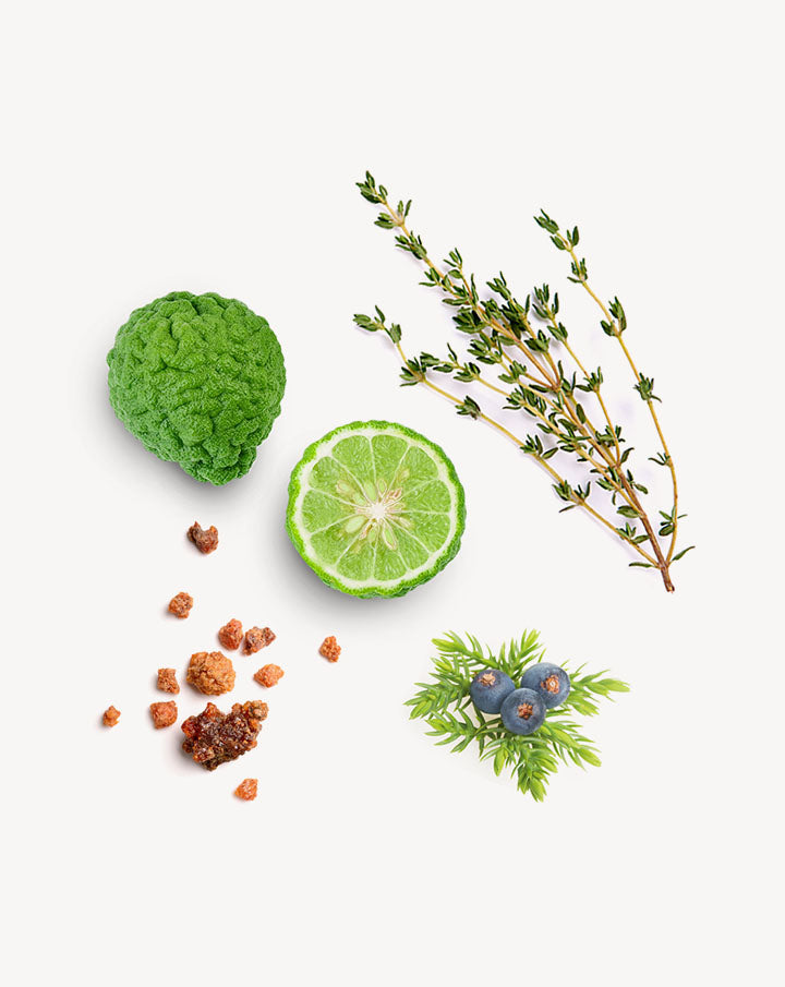 Forgive Touch mélange en applicateur à bille dōTERRA | 10 ml