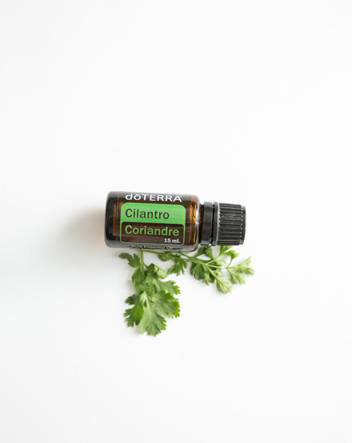 Koriander (Blätter) dōTERRA ätherisches Öl | 15 ml