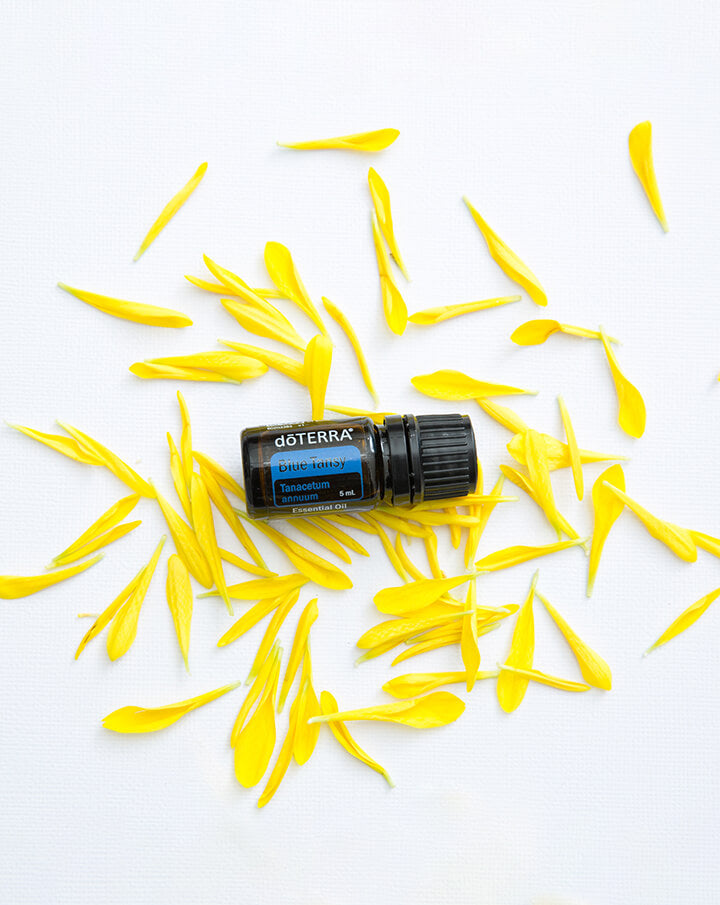 Tanaisie annuelle (Blue Tansy) huile essentielle dōTERRA | 5 ml