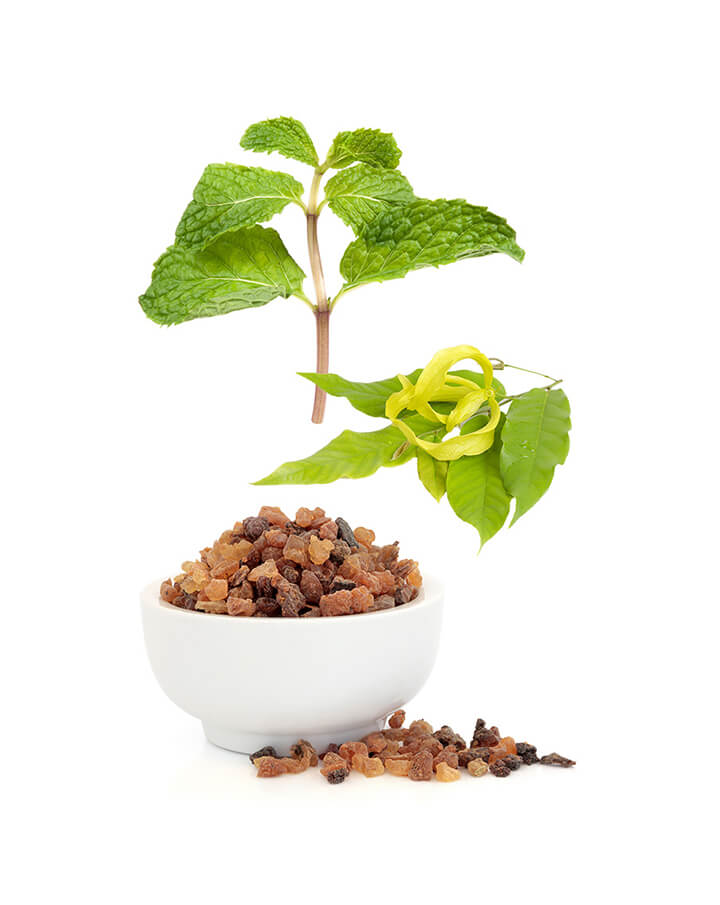 Console mélange d’huiles essentielles dōTERRA | 5ml