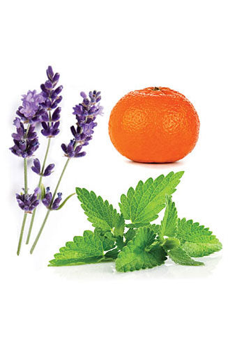 Elevation mélange d’huiles essentielles dōTERRA | 15 ml