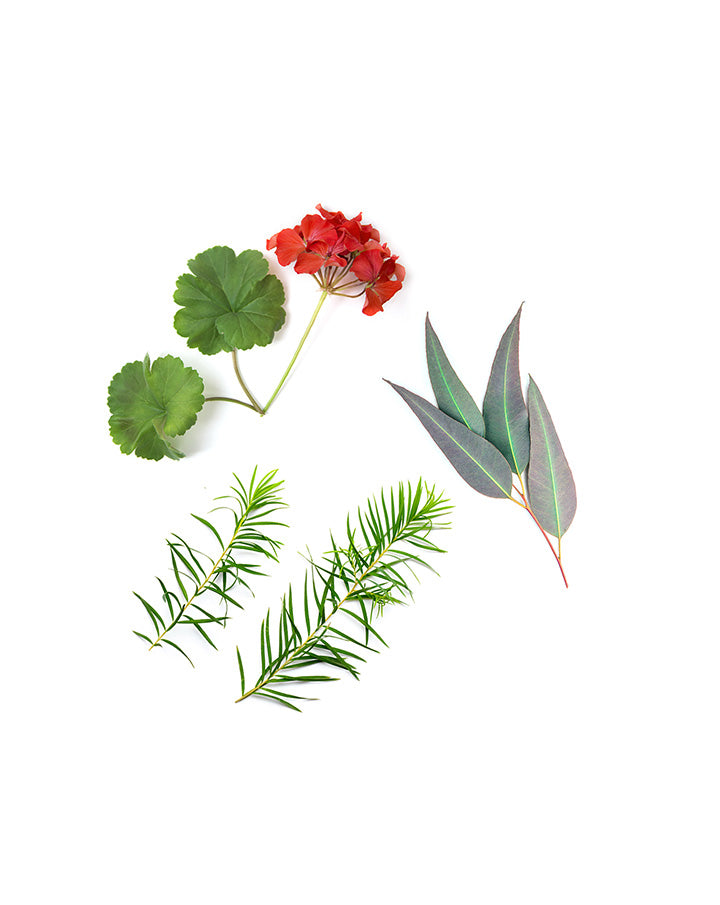 Mélange topique HD Clear dōTERRA | 10 ml