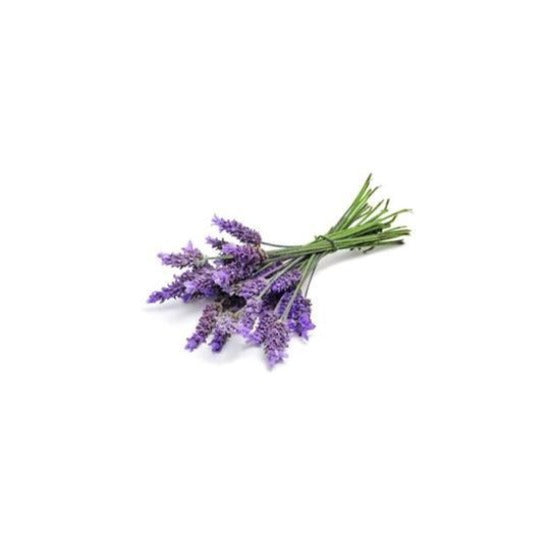 Lavande huile essentielle dōTERRA | 15 ml