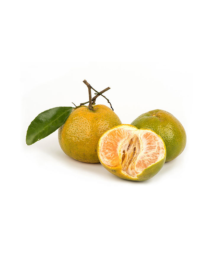 Mandarine verte huile essentielle dōTERRA | 15 ml