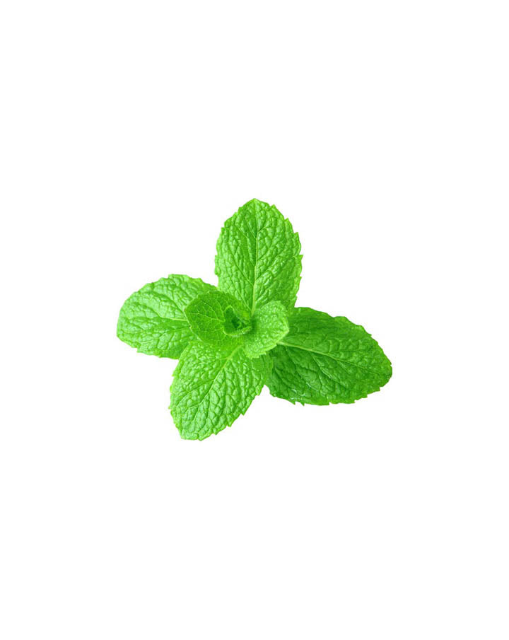 Menthe verte huile essentielle dōTERRA | 15 ml