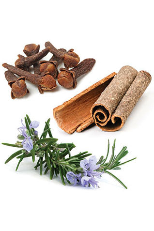 On Guard Pearls dōTERRA Nahrungsergänzungsmittel | 125 Bälle