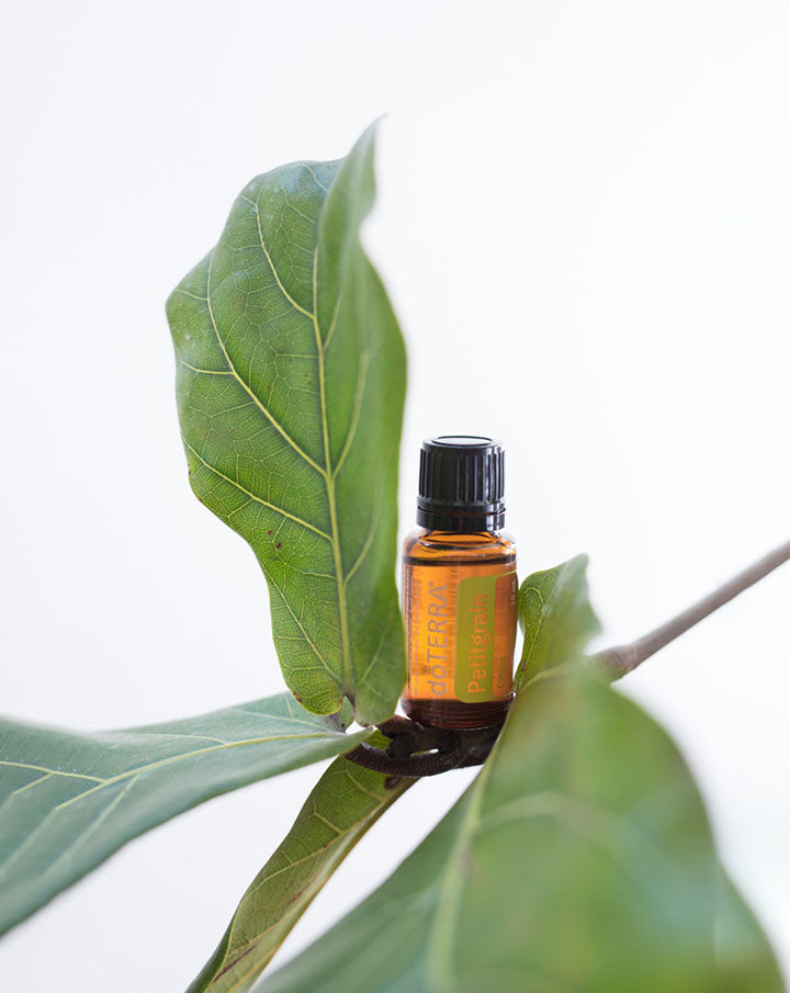 Ätherisches Petitgrainöl dōTERRA | 15 ml