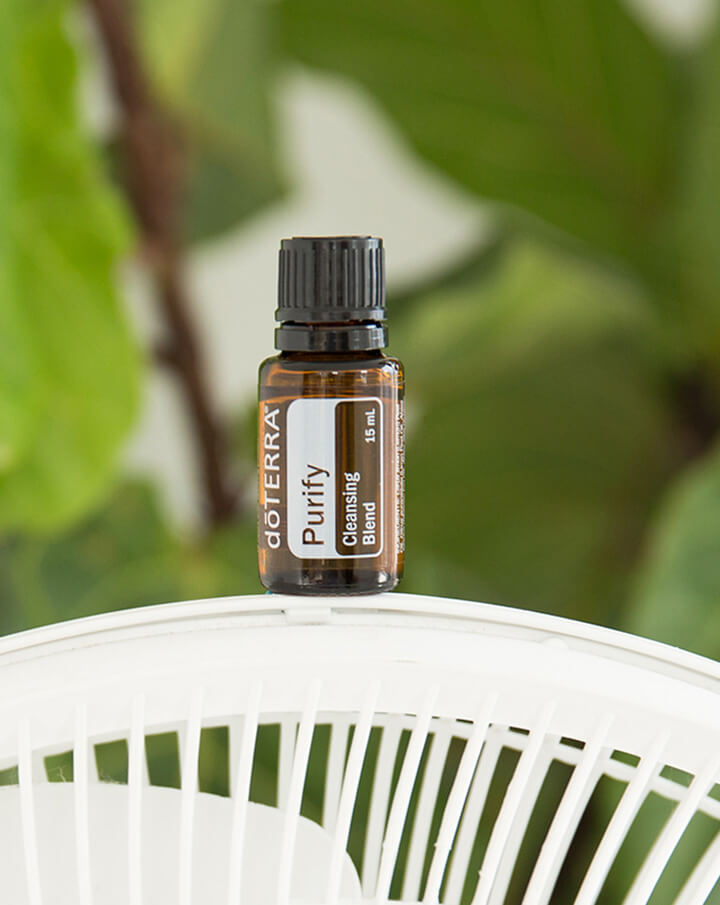 Reinigen Sie die ätherische Ölmischung von dōTERRA | 15 ml