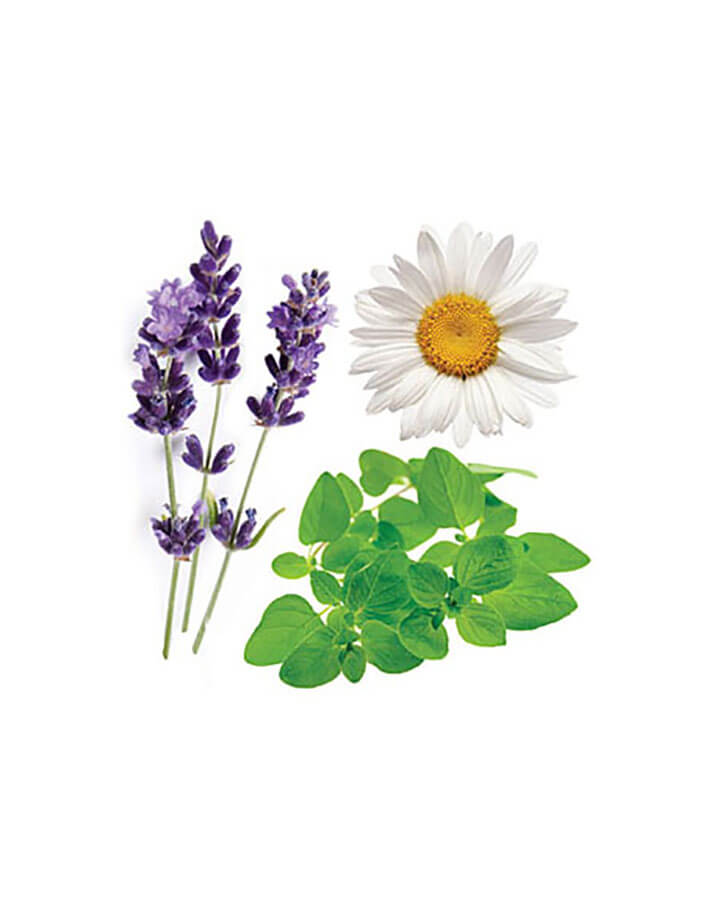 Serenity mélange d’huiles essentielles dōTERRA | 15ml