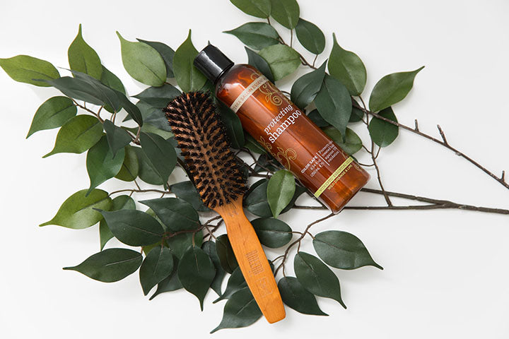 dōTERRA Salon Essentials Schutzshampoo | 250 ml