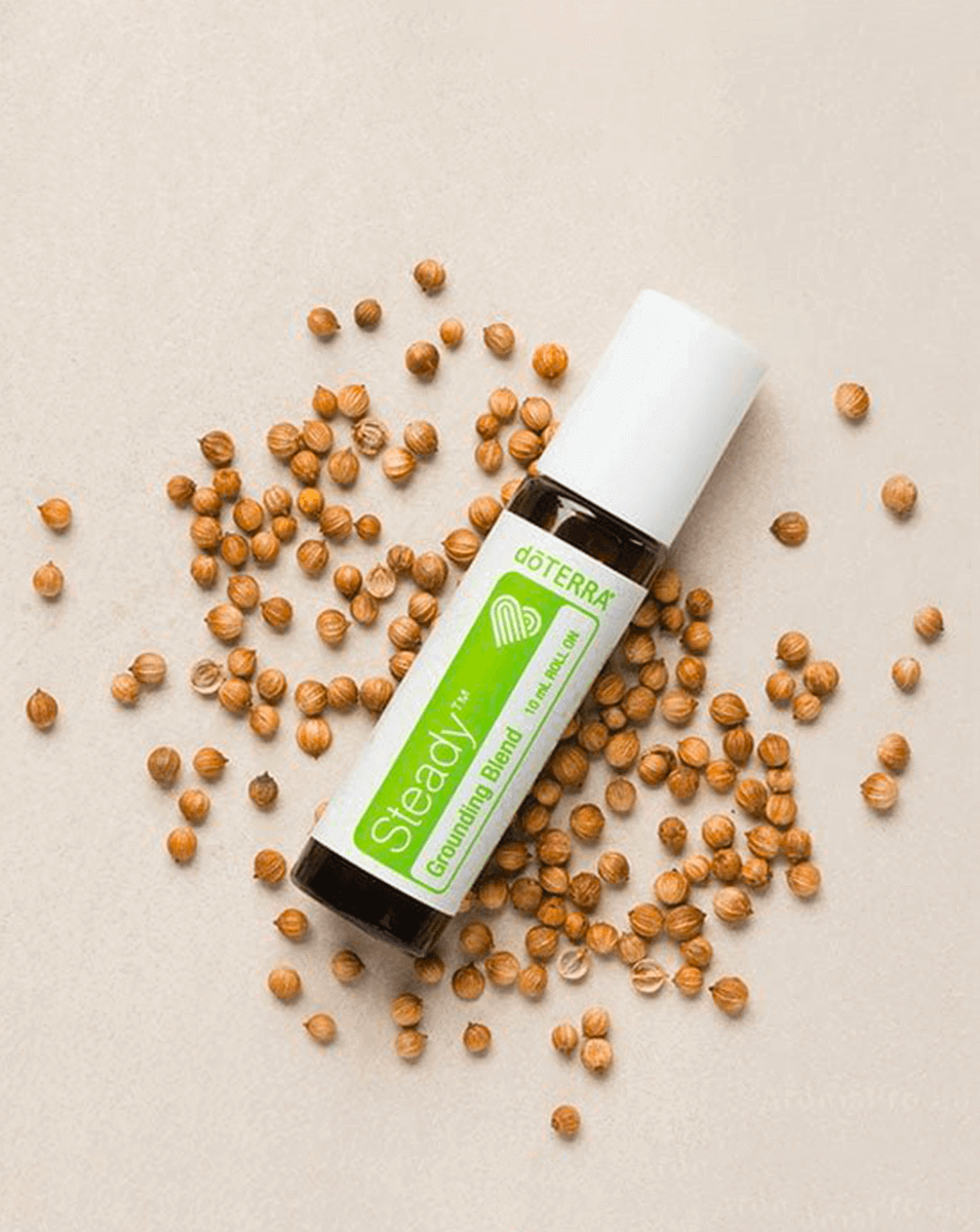 Steady mélange équilibrant doTERRA | 10 ml