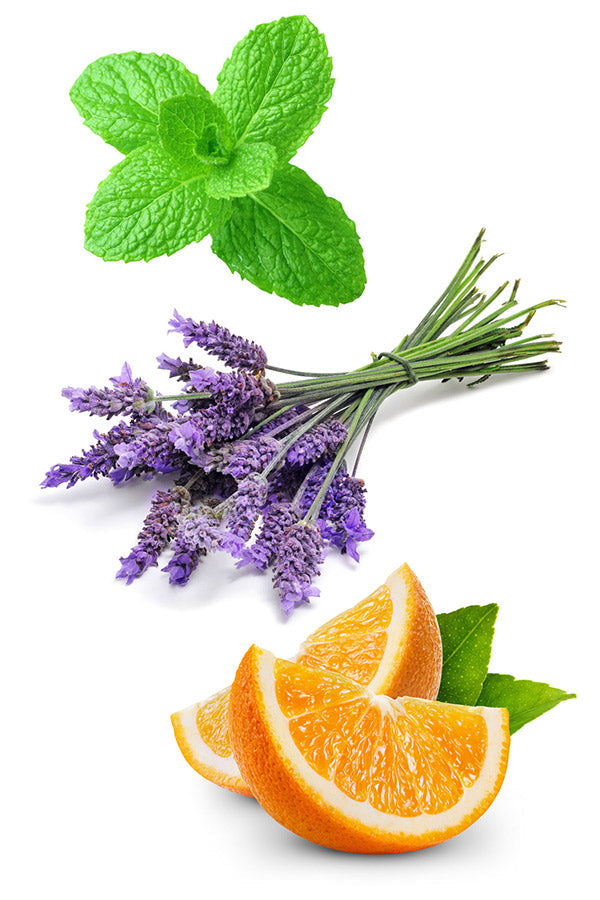 Adaptiv Touch mélange en applicateur à bille dōTERRA | 10 ml