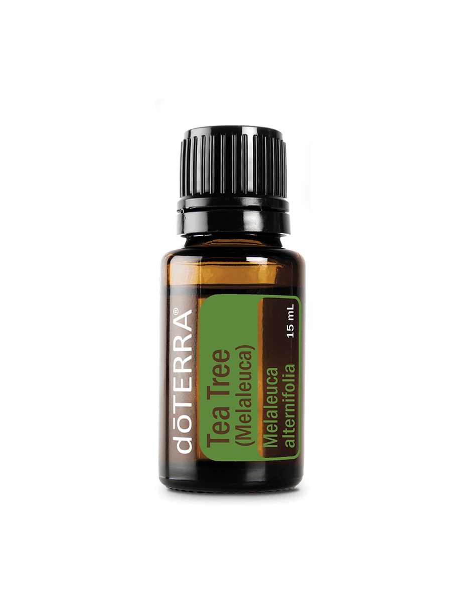 Arbre à thé (Tea Tree) huile essentielle dōTERRA | 15 ml