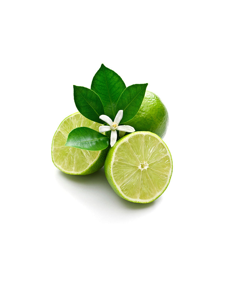 Citron vert (Lime) huile essentielle dōTERRA | 15 ml