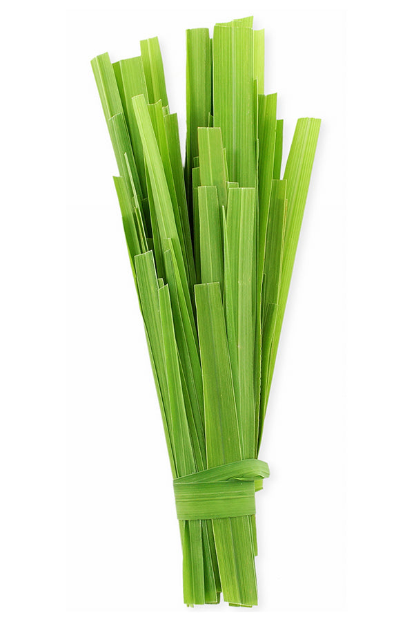 Citronella huile essentielle dōTERRA | 15 ml