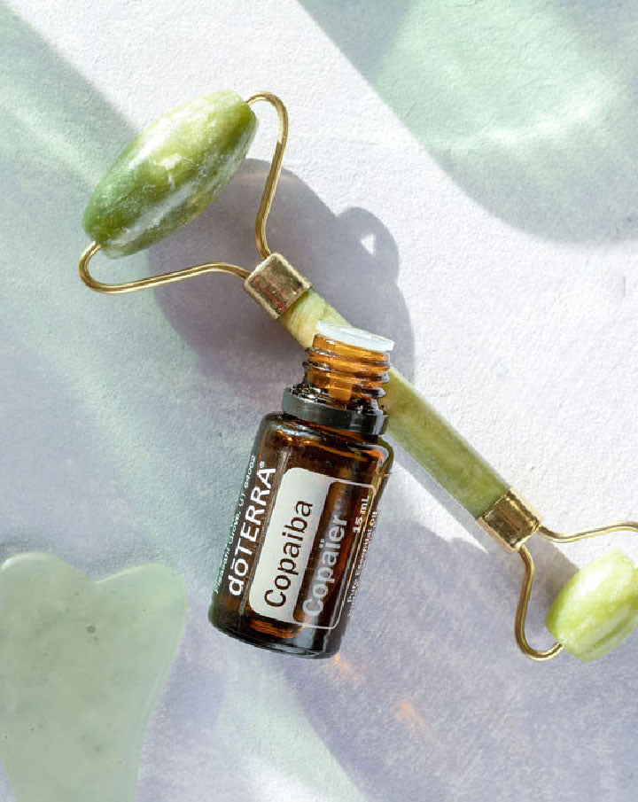 Copaiba (Copai-Baum) dōTERRA ätherisches Öl | 15 ml