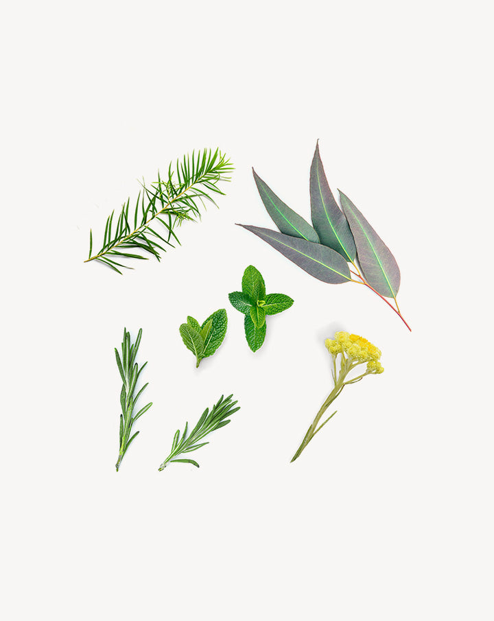 Deep Blue Touch mélange en applicateur à bille dōTERRA | 10 ml