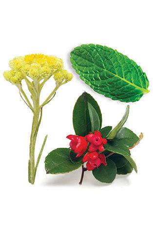 Deep Blue Touch mélange en applicateur à bille dōTERRA | 10 ml