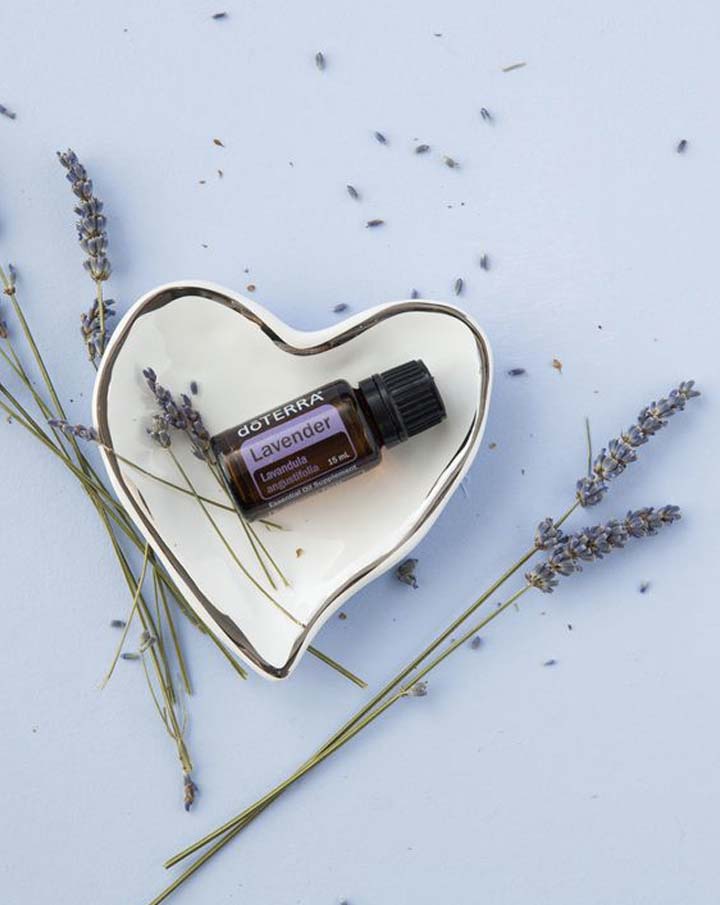 Lavande huile essentielle dōTERRA | 15 ml