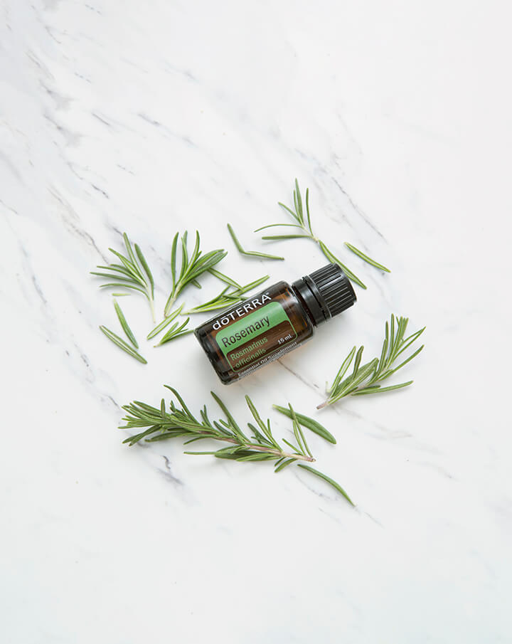 Ätherisches Rosmarinöl dōTERRA | 15 ml