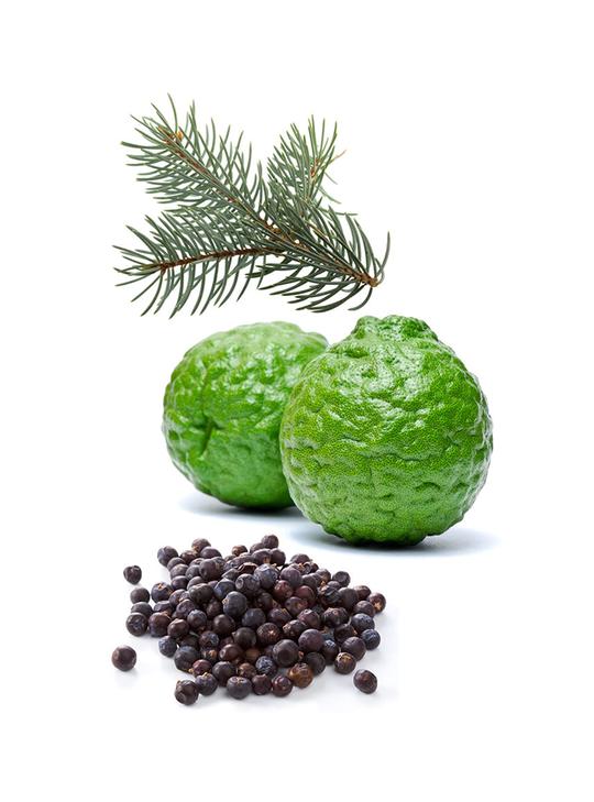Verzeihen Sie dōTERRA ätherische Ölmischung | 5 ml