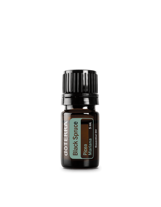 Epinette noire (Black Spruce) huile essentielle dōTERRA | 5 ml