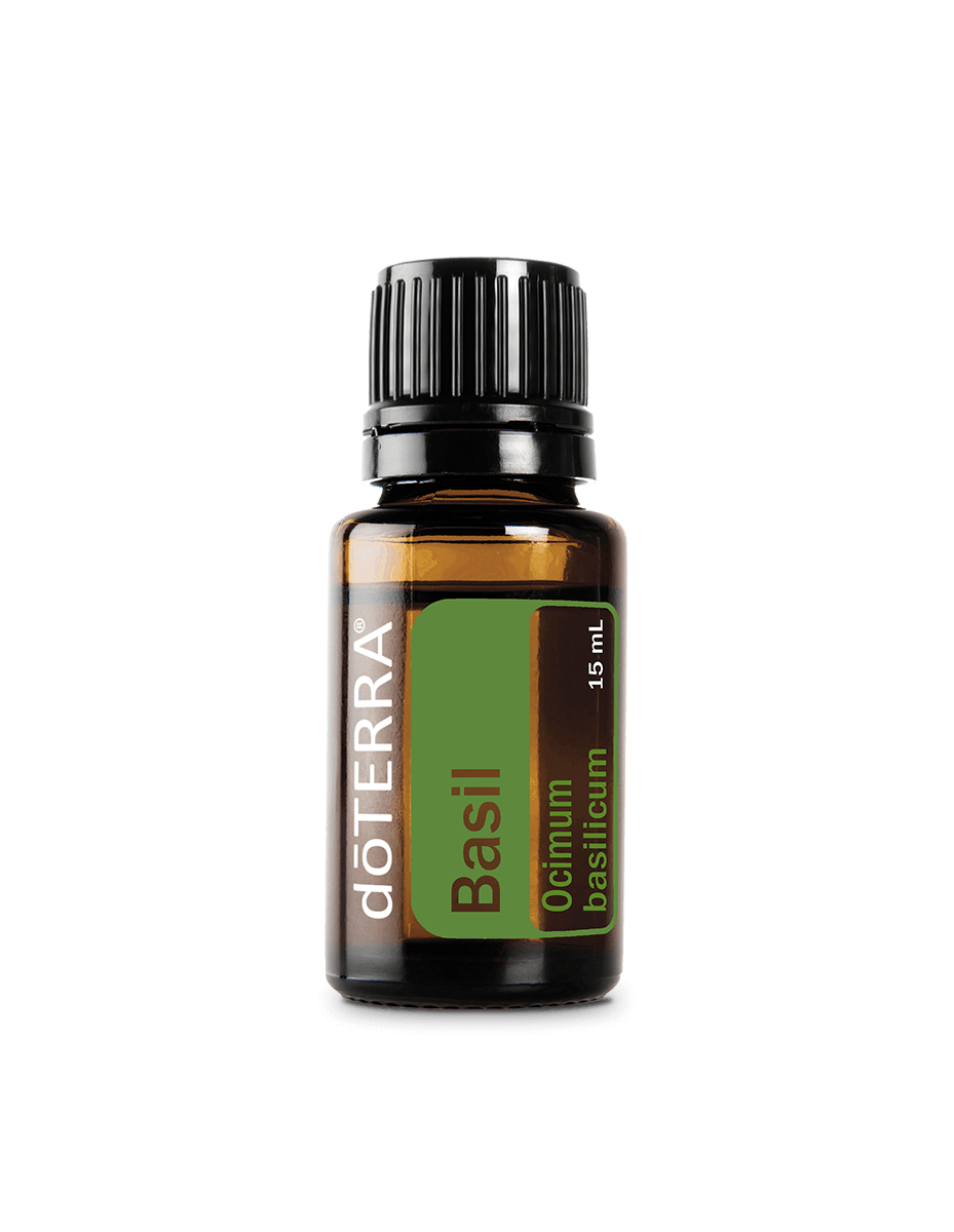 Basilikum (Basilikum) dōTERRA ätherisches Öl | 15 ml