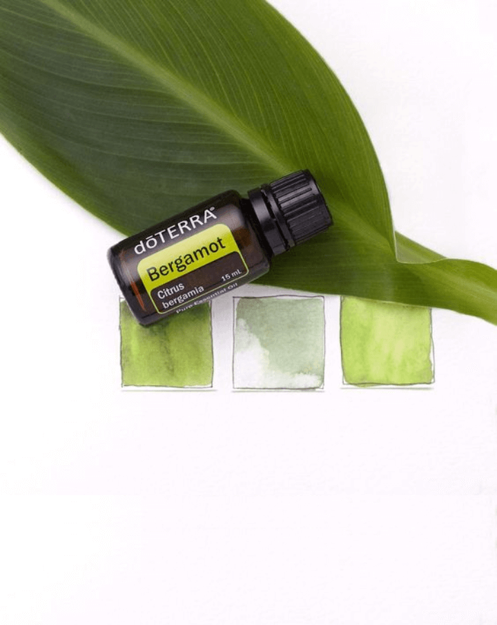 Bergamote huile essentielle dōTERRA | 15ml