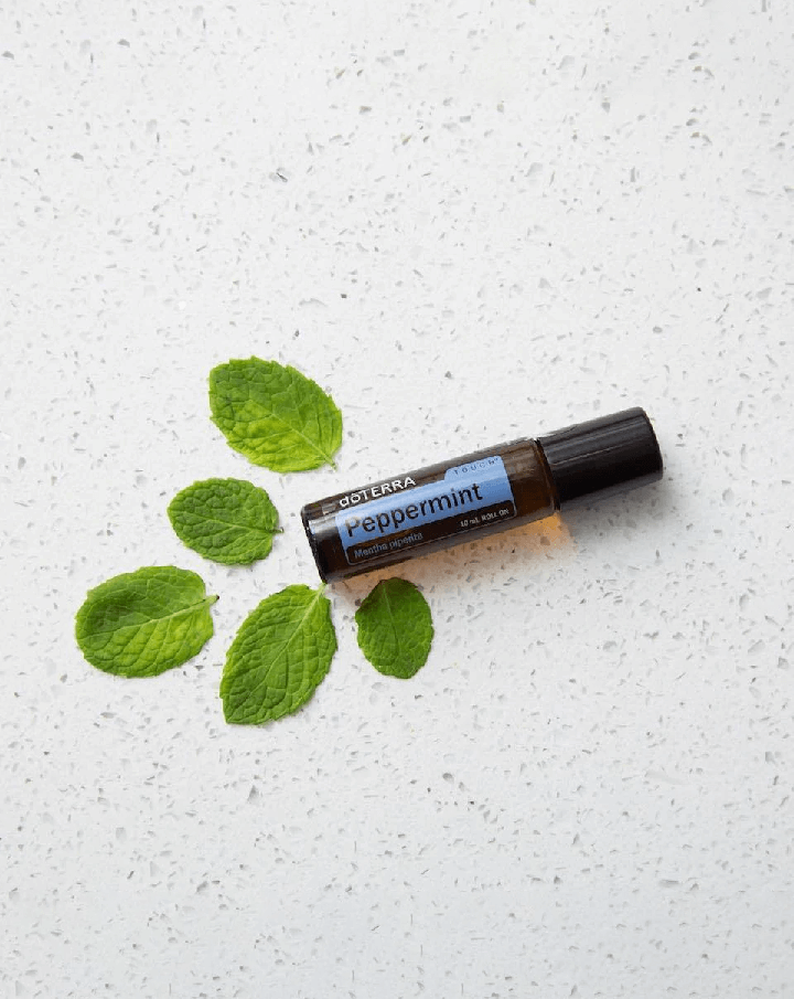 Menthe poivrée (Peppermint) Touch diluée en applicateur à bille dōTERRA | 10 ml