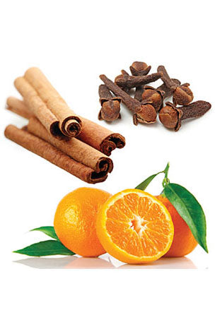 On Guard Touch-Mischung im dōTERRA Roll-on-Applikator | 10 ml