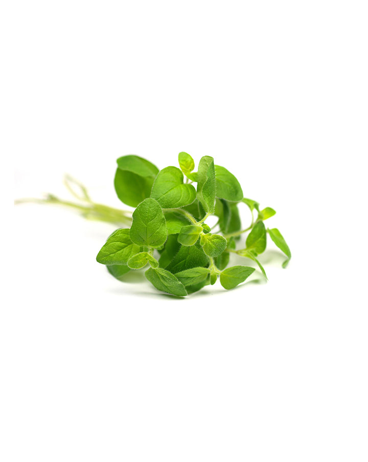 Origan huile essentielle dōTERRA | 15 ml