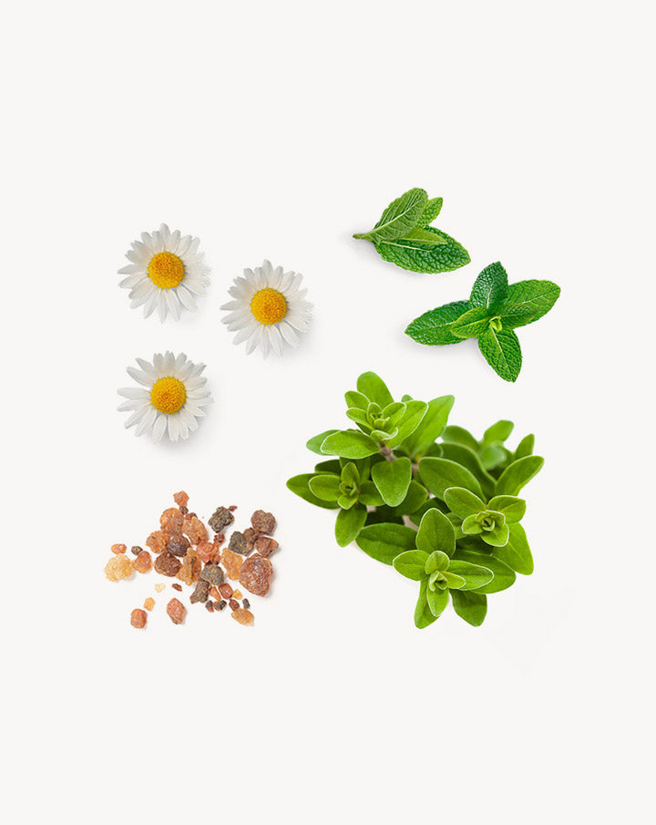 PastTense mélange en applicateur à bille dōTERRA | 10 ml