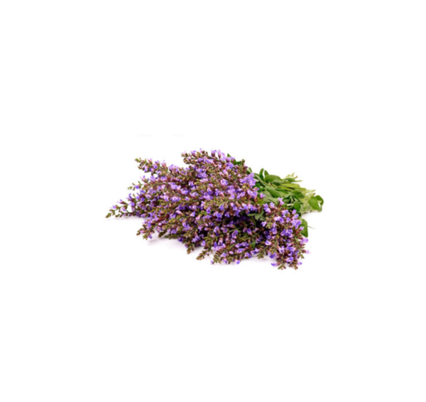 Muskatellersalbei (Clary Sage) dōTERRA ätherisches Öl | 15 ml