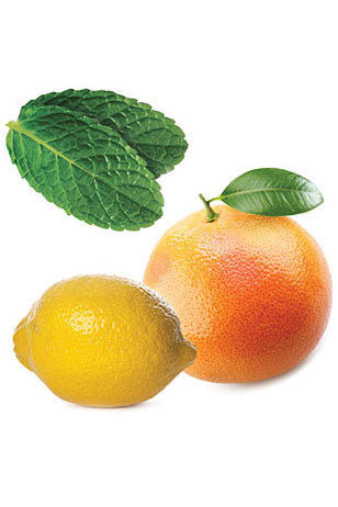 Smart & Sassy mélange d’huiles essentielles dōTERRA | 15ml