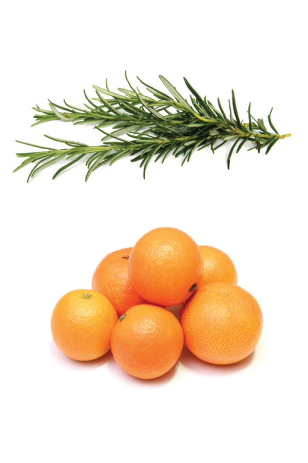 Thinker mélange de concentration dōTERRA | 10 ml