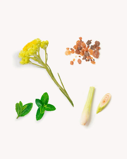 Baume à lèvres SPF 15 Sun doTERRA, 3,5 g