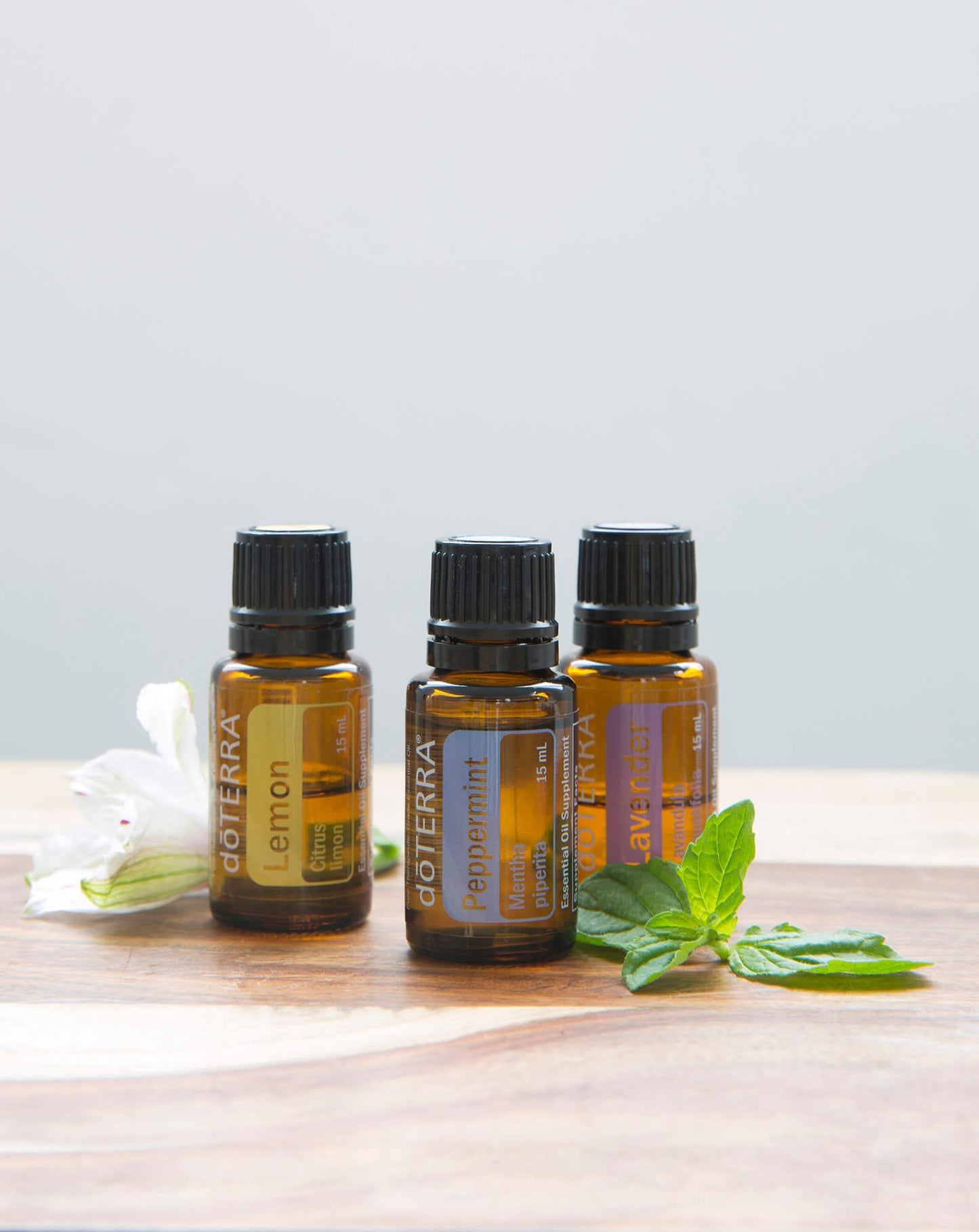 Beginner's Trio dōTERRA : Kit débutant | 15 ml