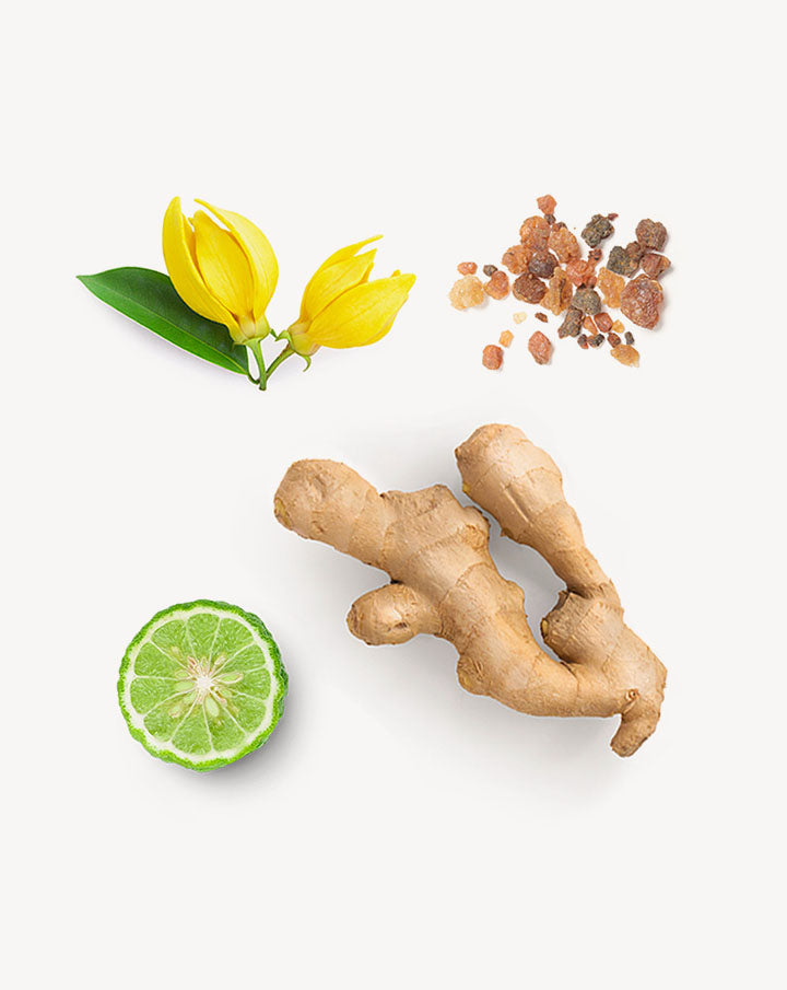 Cheer dōTERRA ätherische Ölmischung | 5 ml