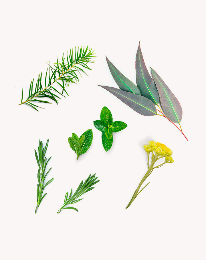 Deep Blue mélange en applicateur à bille dōTERRA | 10ml