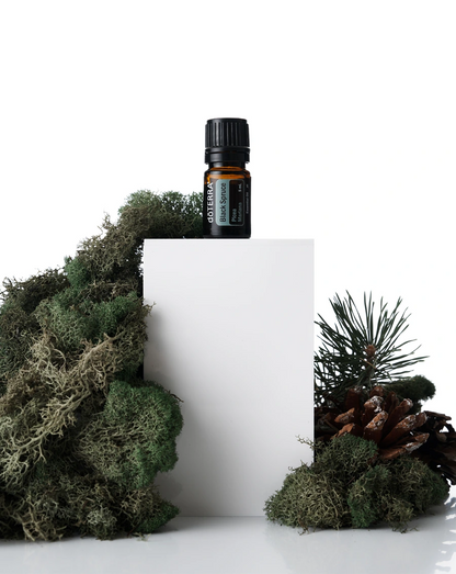 Epinette noire (Black Spruce) huile essentielle doTERRA, 5 ml