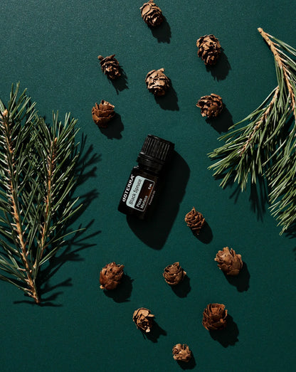 Epinette noire (Black Spruce) huile essentielle doTERRA, 5 ml