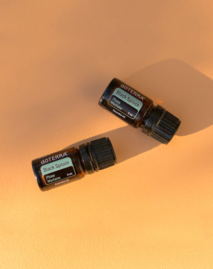 Epinette noire (Black Spruce) huile essentielle doTERRA, 5 ml