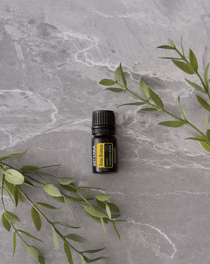 Breu Branco huile essentielle doTERRA, 5 ml