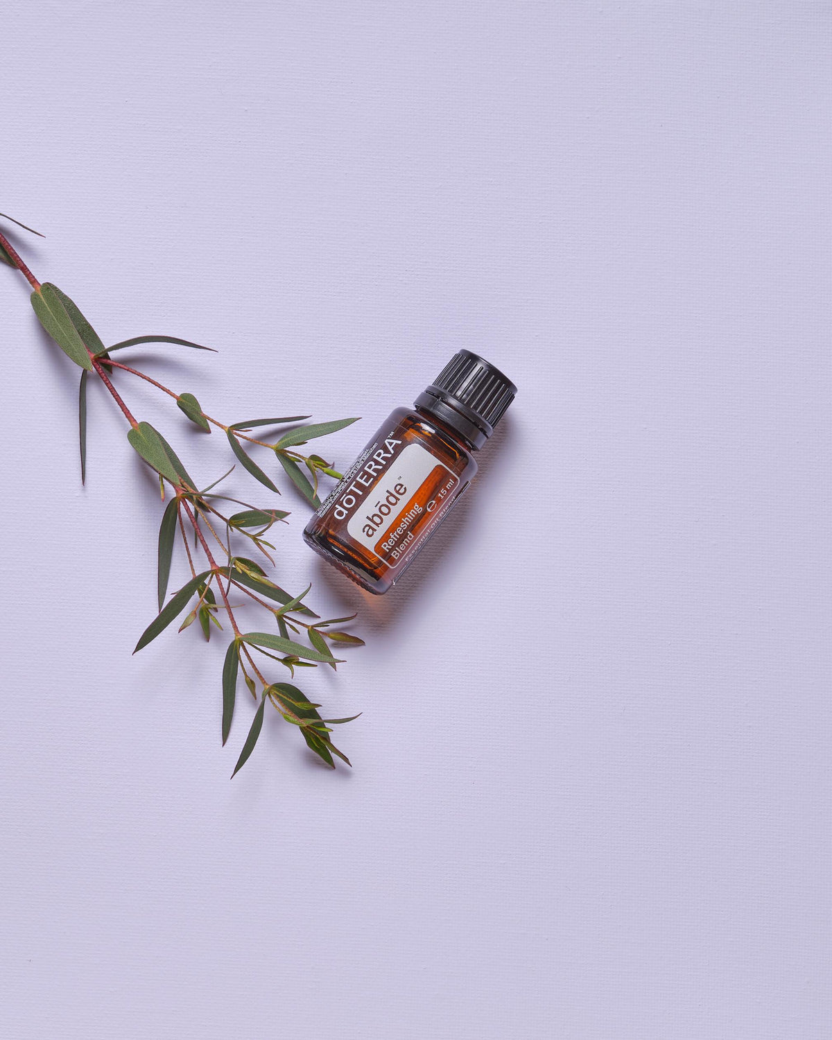 Abōde mélange d'huiles essentielles dōTERRA, flacon avec brin de lavande sur fond lilas