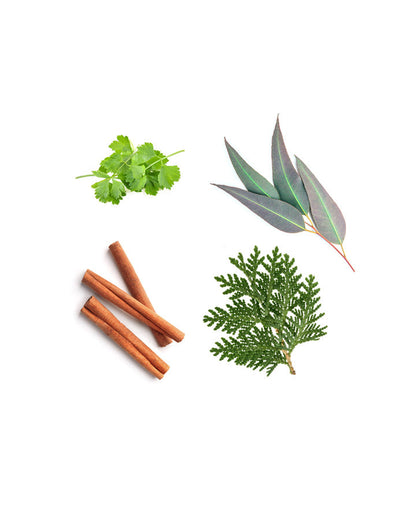 Abōde mélange rafraîchissant d'huiles essentielles doTERRA, 15 ml