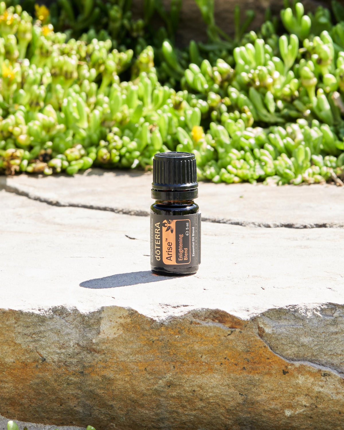 Arise mélange d'huiles essentielles dōTERRA, flacon sur une pierre au jardin