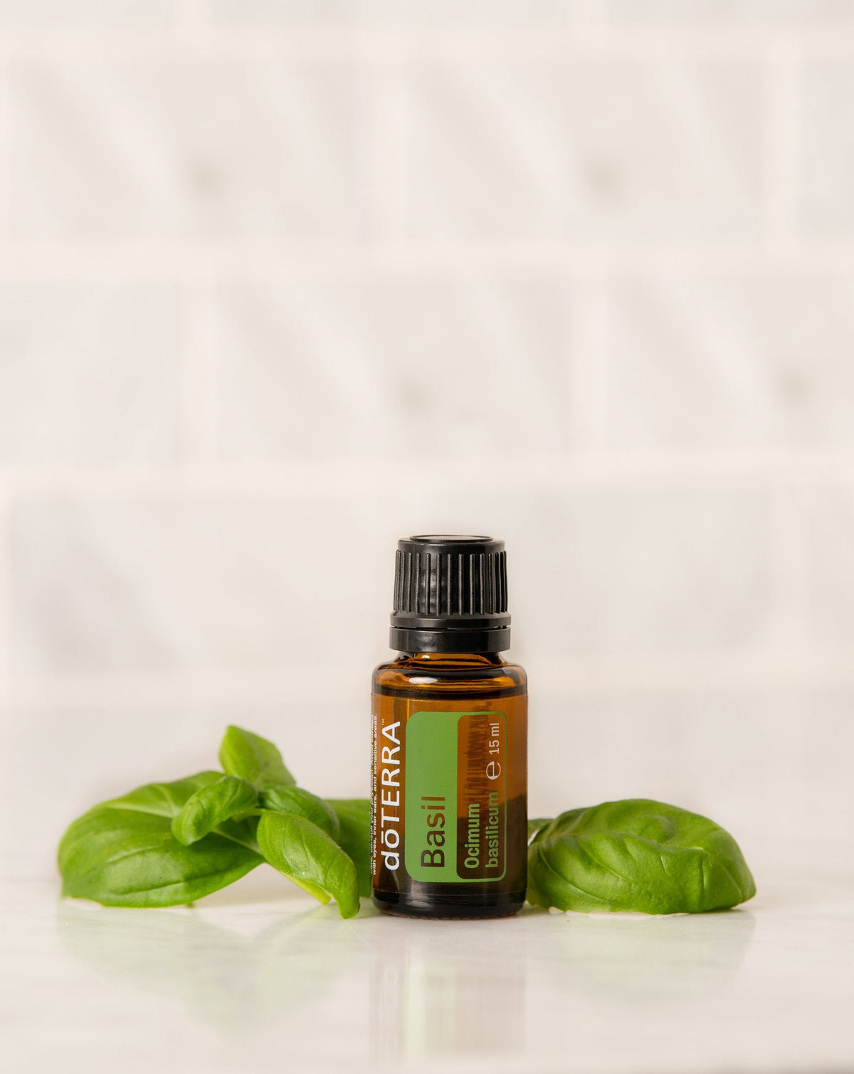 Basilic huile essentielle dōTERRA, flacon et feuilles de basilic frais